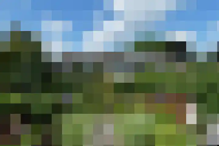 Drechterland 30 Zoetermeer thumbnail 37