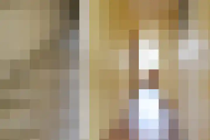 Drechterland 30 Zoetermeer thumbnail 48