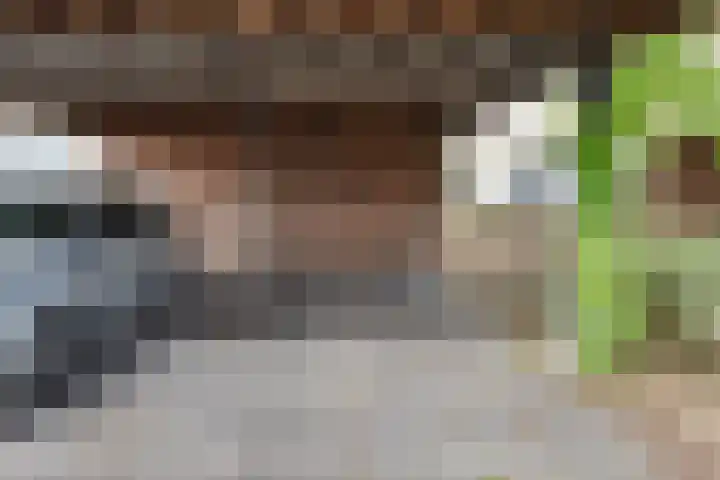 Drechterland 30 Zoetermeer thumbnail 5