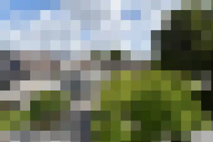 Drechterland 30 Zoetermeer thumbnail 52