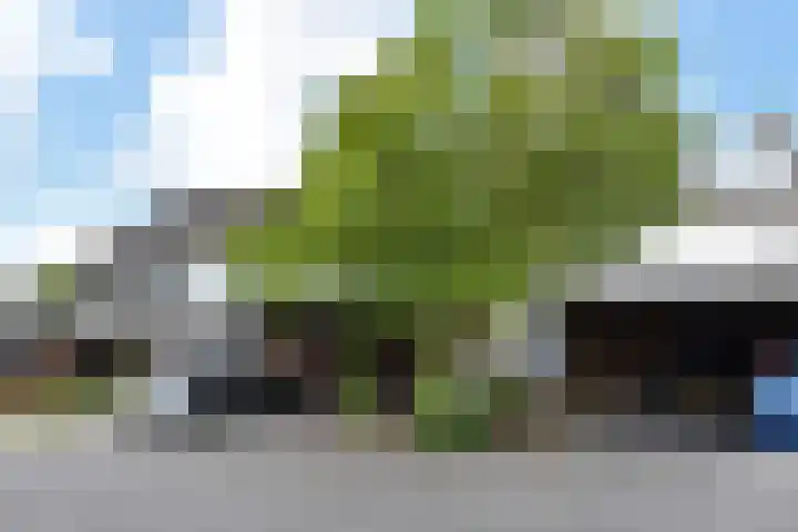 Drechterland 30 Zoetermeer thumbnail 56