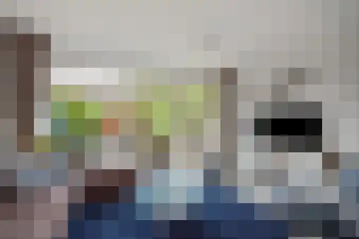 Drechterland 31 Zoetermeer thumbnail 10
