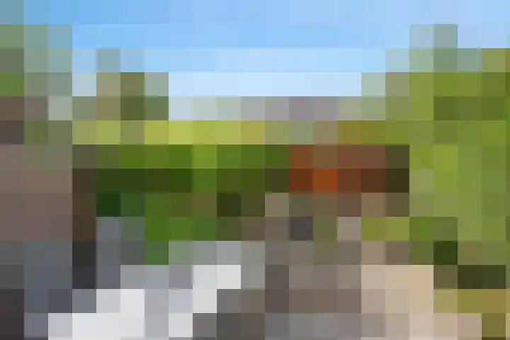 Drechterland 31 Zoetermeer thumbnail 12