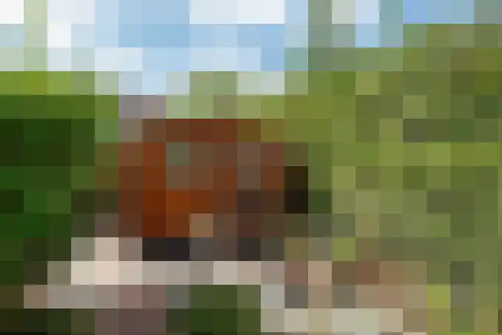 Drechterland 31 Zoetermeer thumbnail 13