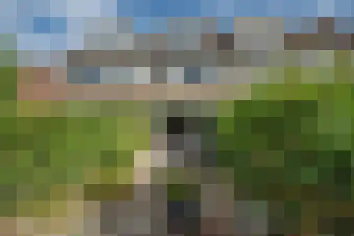 Drechterland 31 Zoetermeer thumbnail 14