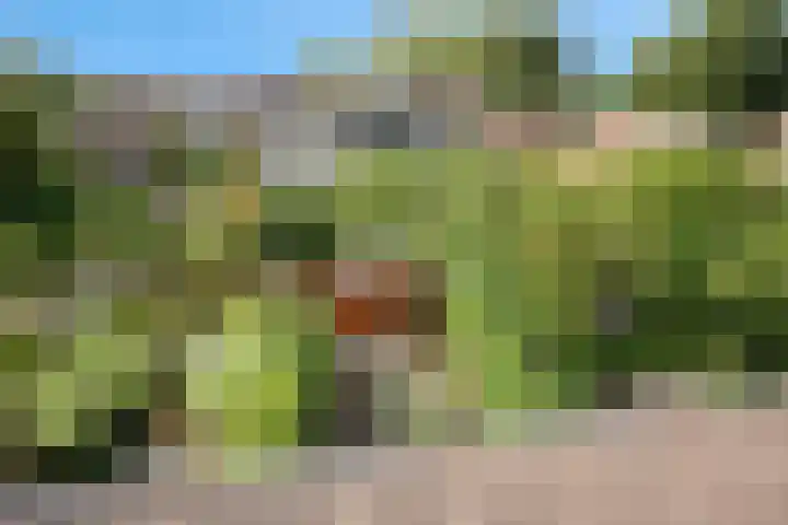 Drechterland 31 Zoetermeer thumbnail 29