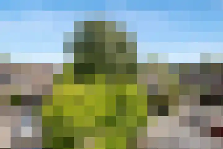 Drechterland 31 Zoetermeer thumbnail 32