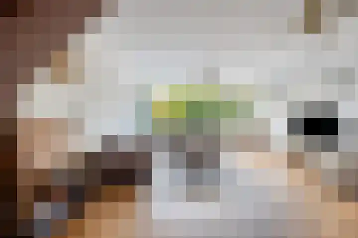 Drechterland 32 Zoetermeer thumbnail 10
