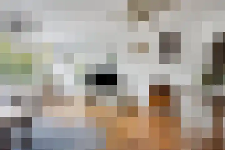 Drechterland 32 Zoetermeer thumbnail 11
