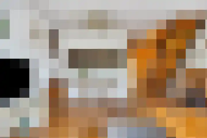 Drechterland 32 Zoetermeer thumbnail 13