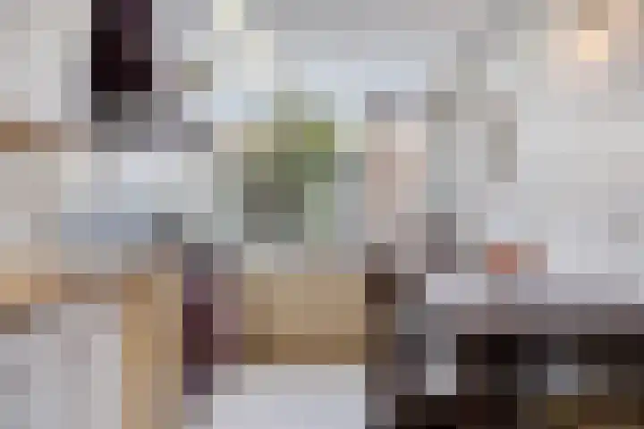 Drechterland 32 Zoetermeer thumbnail 15