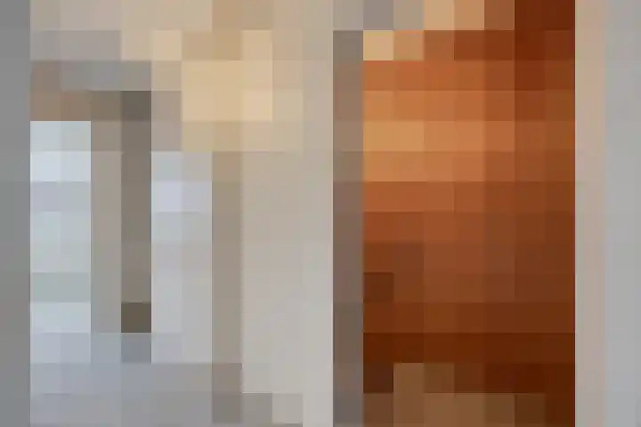 Drechterland 32 Zoetermeer thumbnail 18