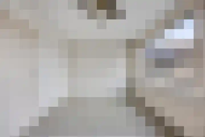 Drechterland 32 Zoetermeer thumbnail 20
