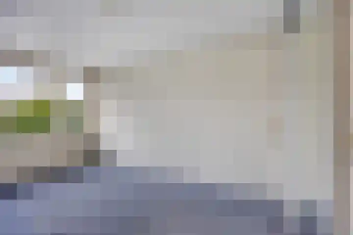 Drechterland 32 Zoetermeer thumbnail 22