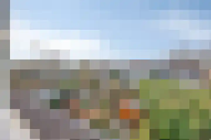 Drechterland 32 Zoetermeer thumbnail 27