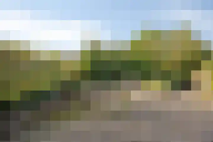 Drechterland 32 Zoetermeer thumbnail 38