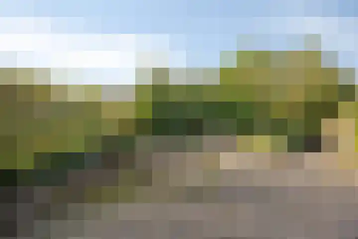Drechterland 32 Zoetermeer thumbnail 4