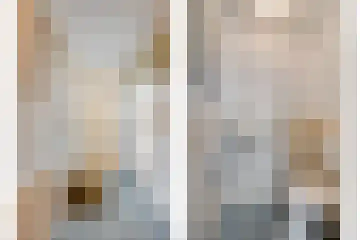 Drechterland 32 Zoetermeer thumbnail 8