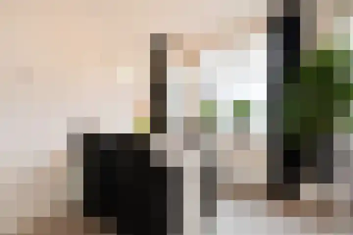 Drechterland 36 Zoetermeer thumbnail 11