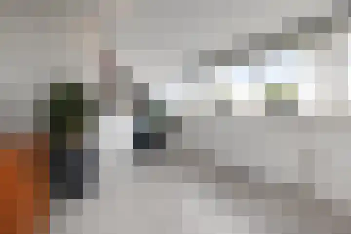 Drechterland 36 Zoetermeer thumbnail 43