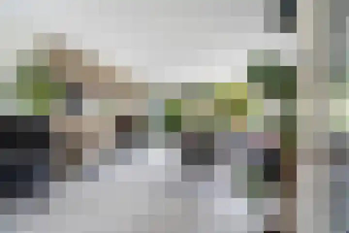 Drechterland 38 Zoetermeer thumbnail 10