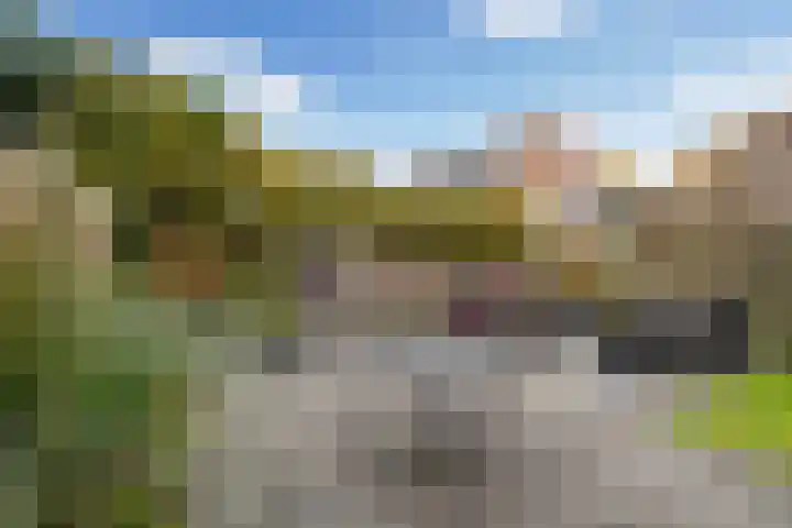 Drechterland 38 Zoetermeer thumbnail 14