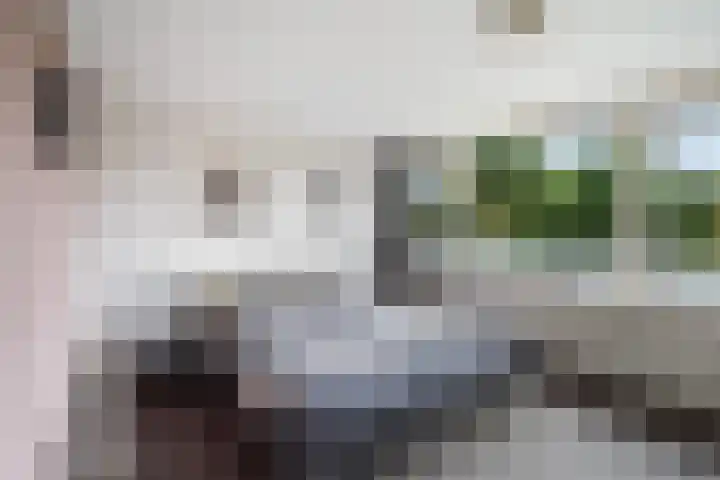 Drechterland 38 Zoetermeer thumbnail 33