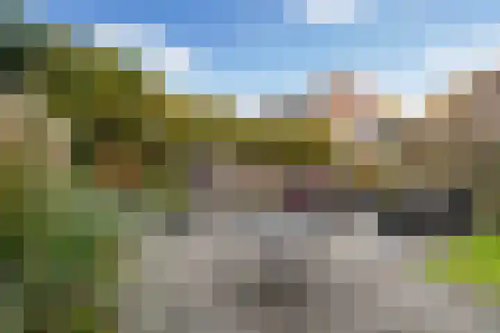 Drechterland 38 Zoetermeer thumbnail 5