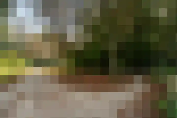Drechterland 38 Zoetermeer thumbnail 57