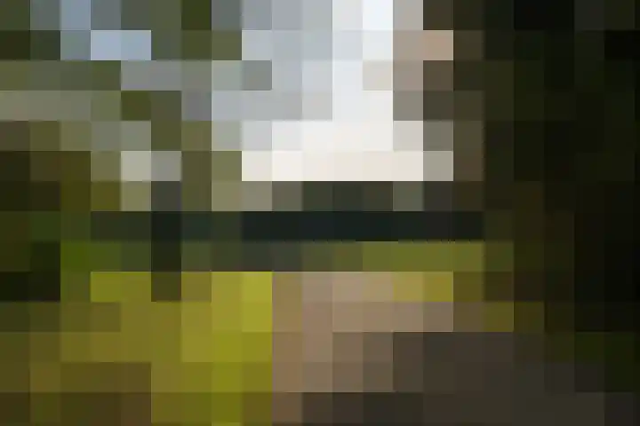 Drechterland 38 Zoetermeer thumbnail 58