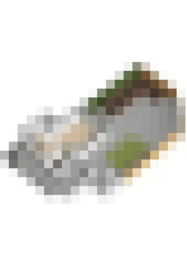 Drechterland 38 Zoetermeer thumbnail 66