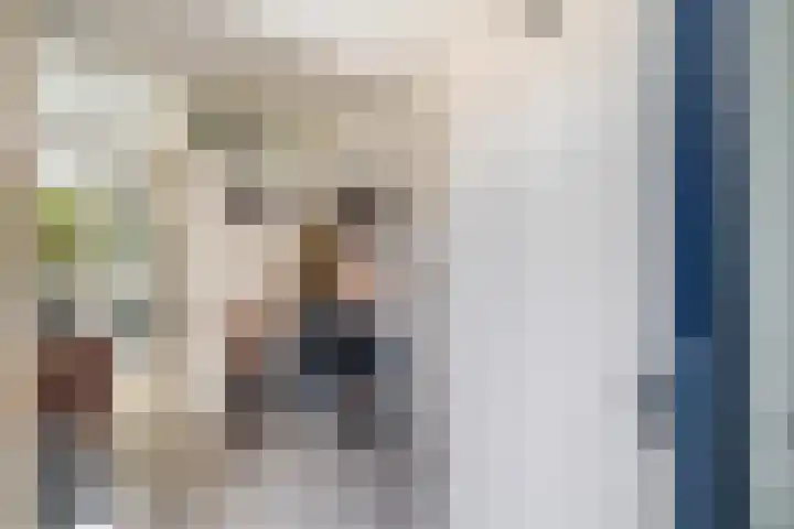 Drechterland 38 Zoetermeer thumbnail 9