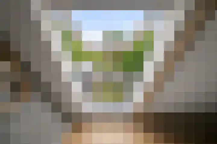 Drechterlandsedijk 18 Ursem thumbnail 32