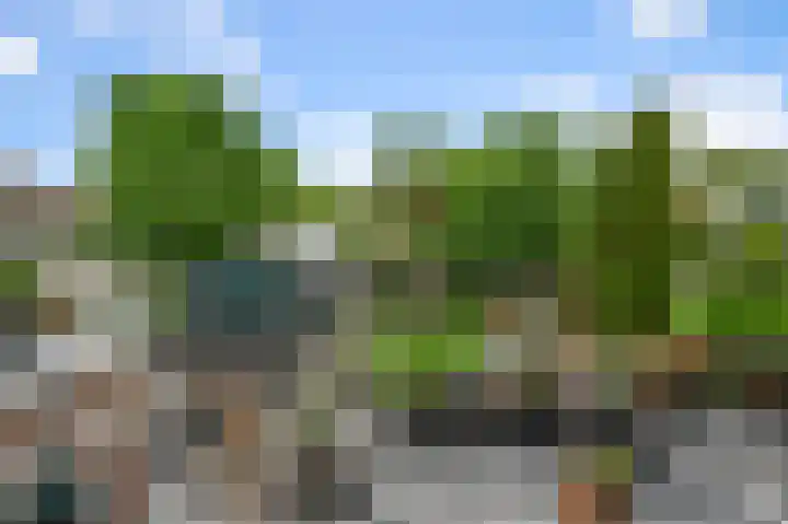Drechterlandsedijk 18 Ursem thumbnail 33