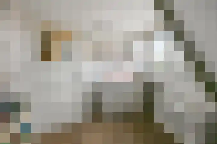 Drechterlandsedijk 18 Ursem thumbnail 37