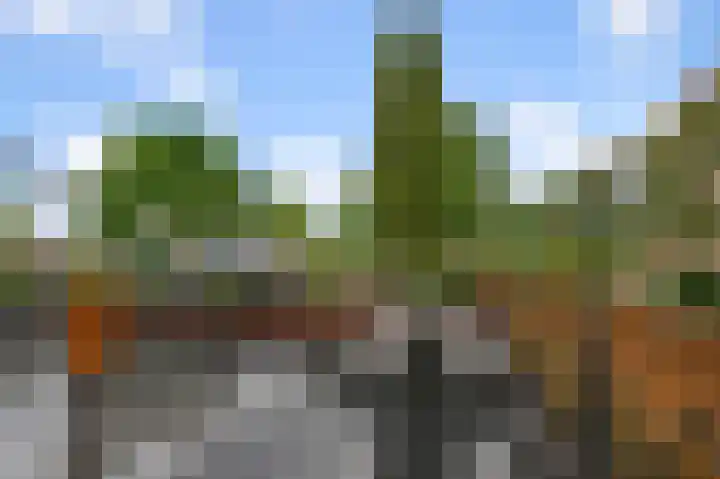 Drechterlandsedijk 18 Ursem thumbnail 53