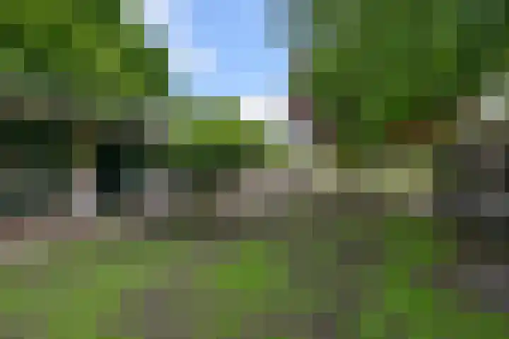 Drechterlandsedijk 18 Ursem thumbnail 57