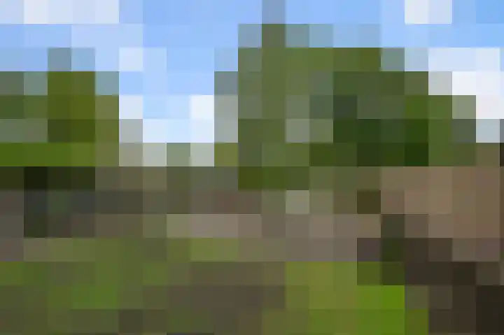 Drechterlandsedijk 18 Ursem thumbnail 58