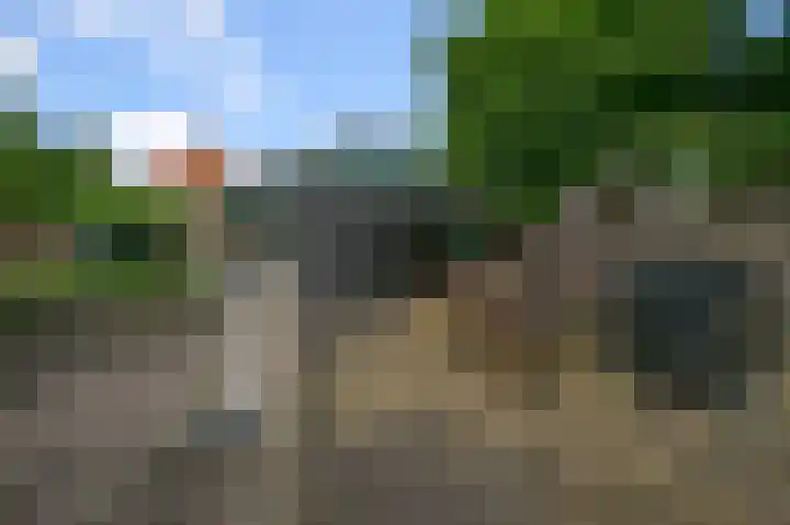 Drechterlandsedijk 18 Ursem thumbnail 60
