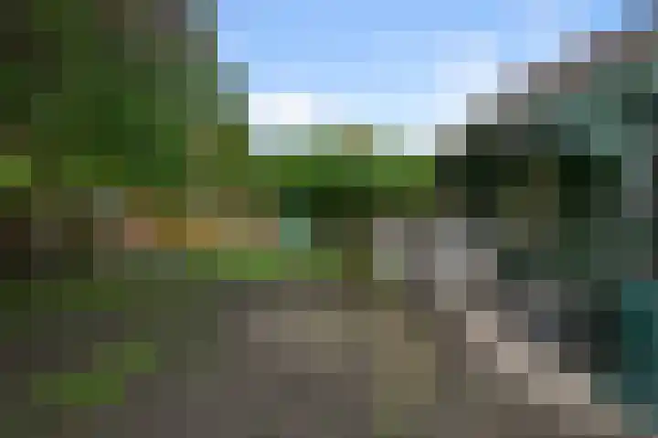 Drechterlandsedijk 18 Ursem thumbnail 61