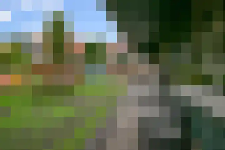 Drechterlandsedijk 18 Ursem thumbnail 62