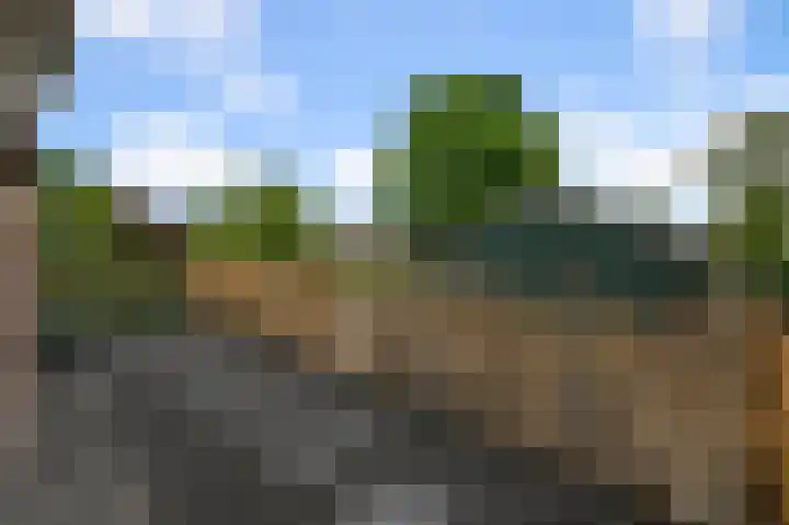 Drechterlandsedijk 18 Ursem thumbnail 65