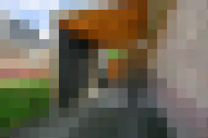 Drechterlandsedijk 18 Ursem thumbnail 66
