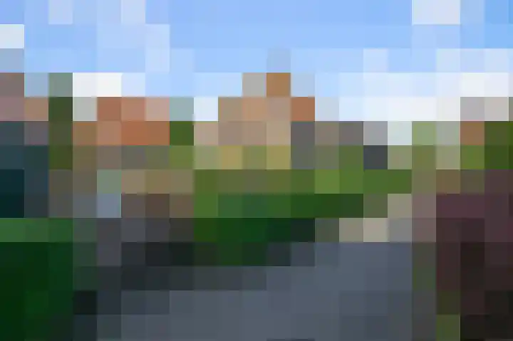 Drechterlandsedijk 18 Ursem thumbnail 70