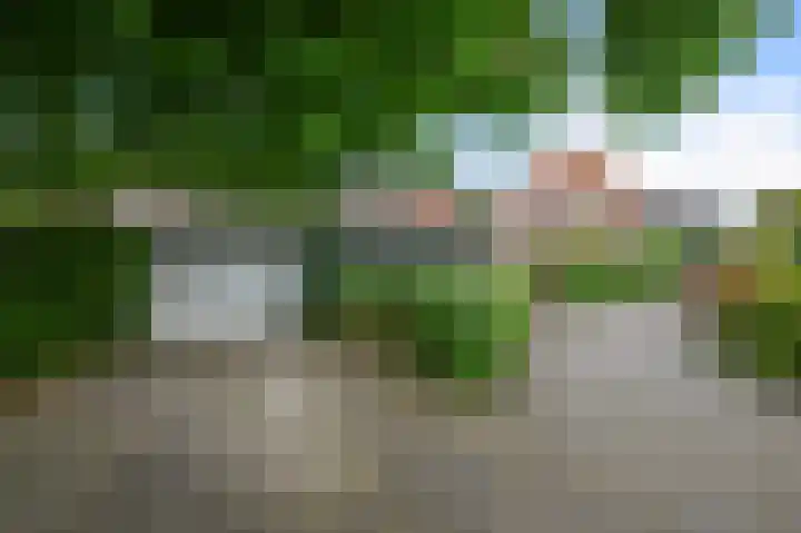 Drechterlandsedijk 18 Ursem thumbnail 72