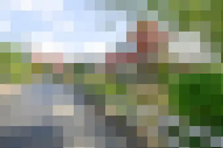 Drechterlandsedijk 18 Ursem thumbnail 74