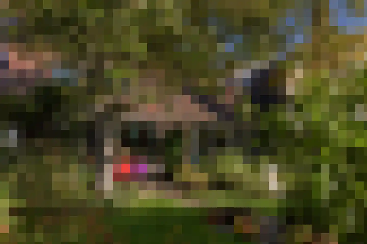 Drechterlandsedijk 57 Ursem thumbnail 26