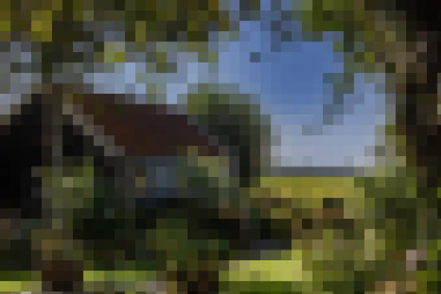 Drechterlandsedijk 57 Ursem thumbnail 28