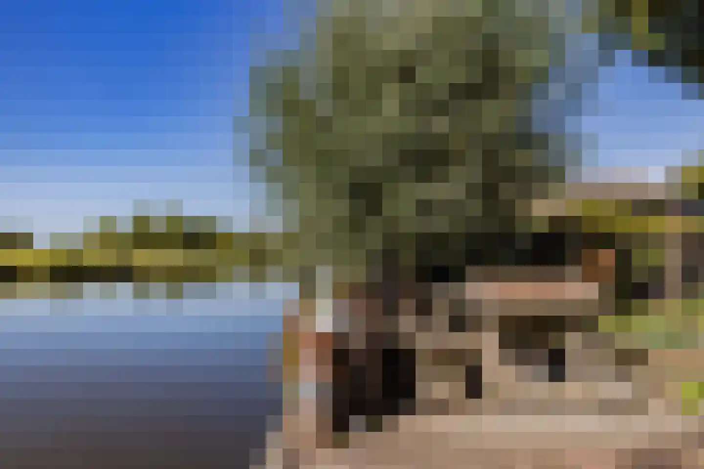Drechterlandsedijk 57 Ursem thumbnail 35