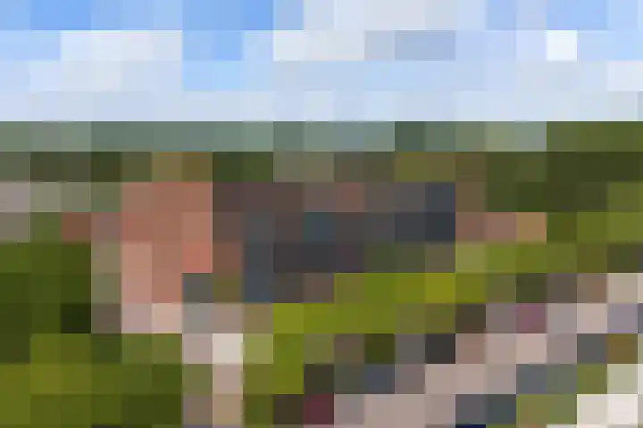 Drechterwaard 207 Alkmaar thumbnail 6